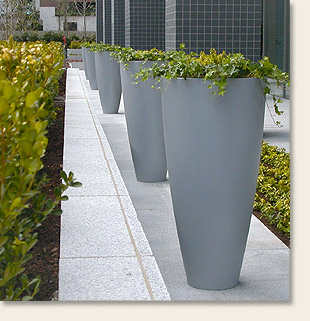 �V�e�B�[�^���[�O�����V�����A���~�������v�����^�[